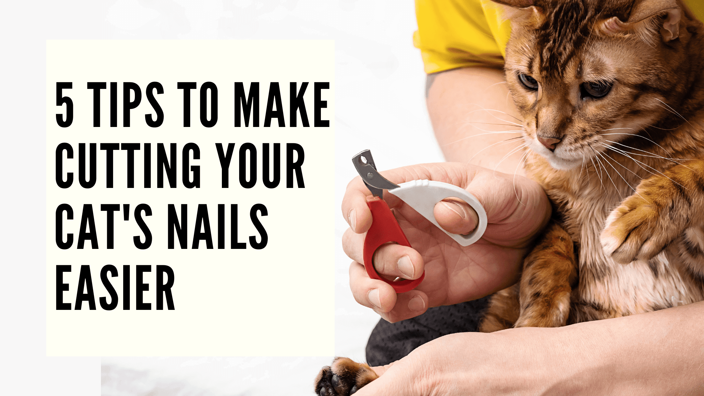 how to trim cat nails