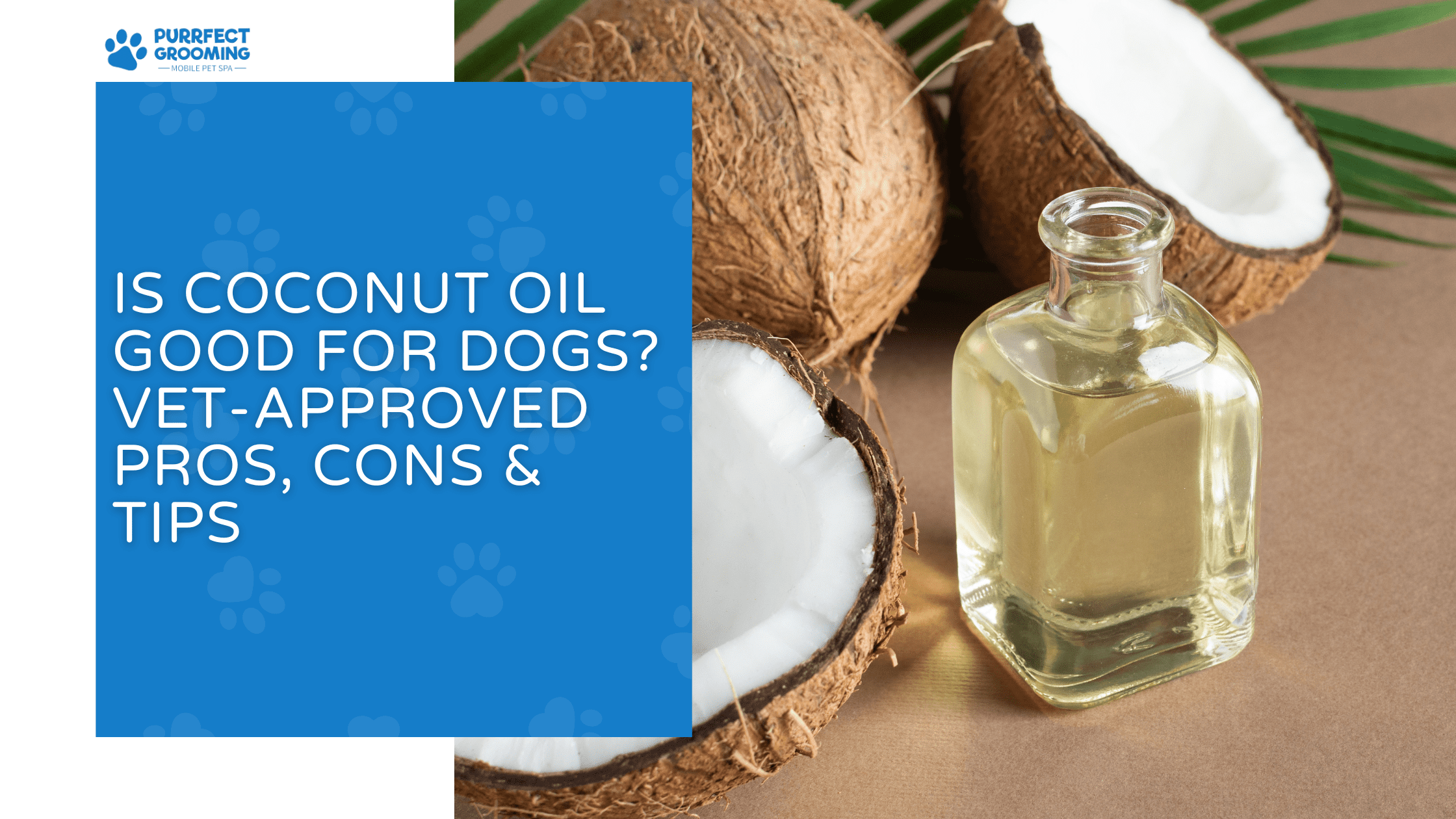 is coconut oil good for dogs