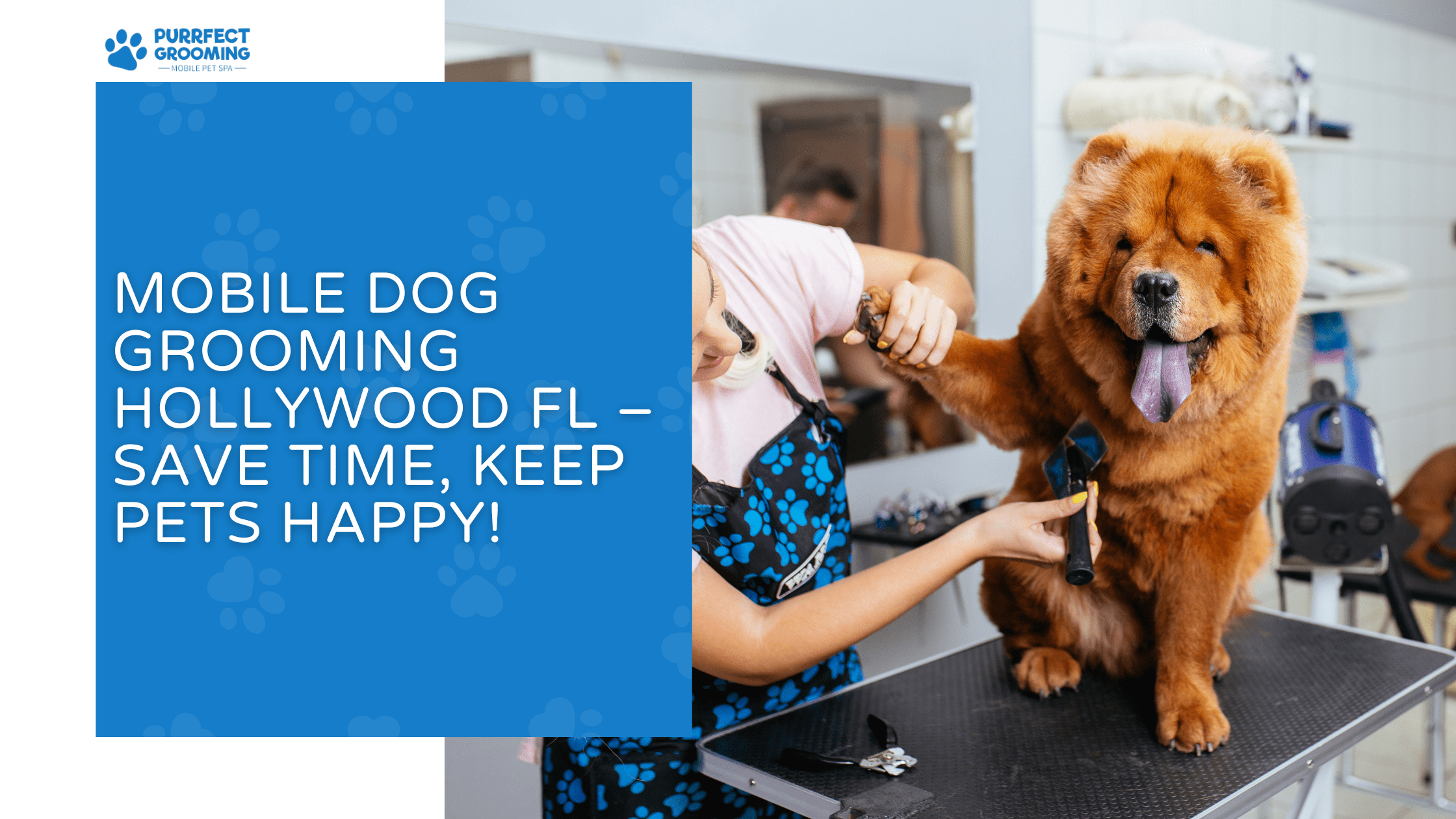 mobile dog grooming hollywood fl