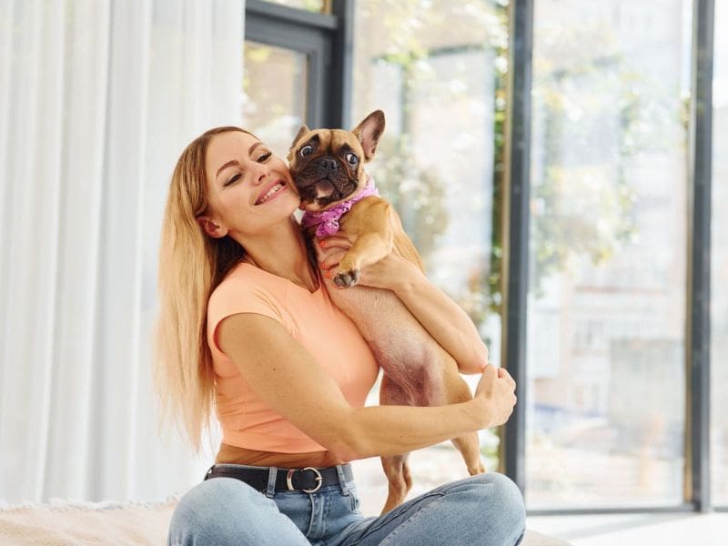 Purrfect Grooming best pet grooming service in Pembroke Pines