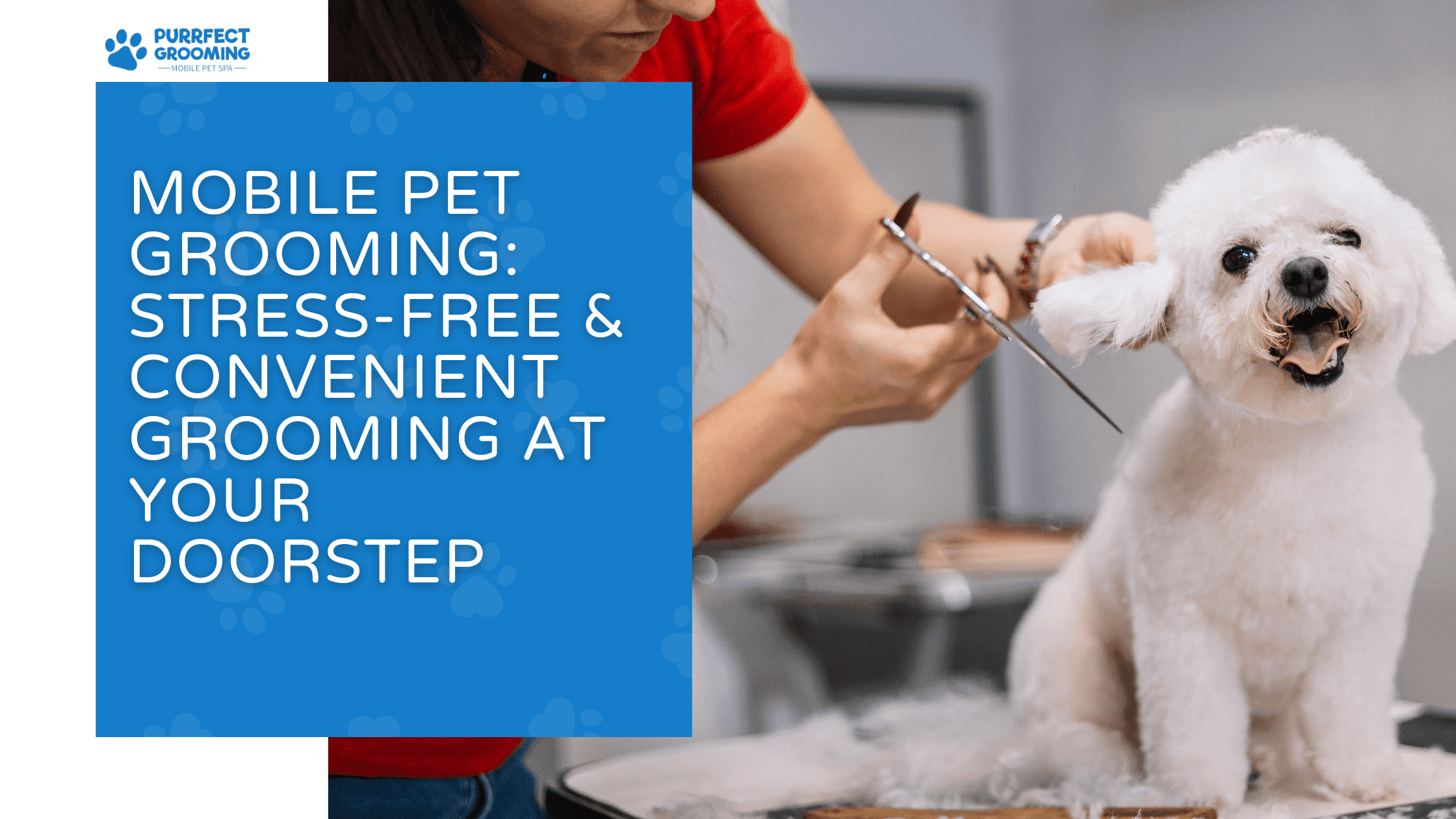 mobile pet grooming
