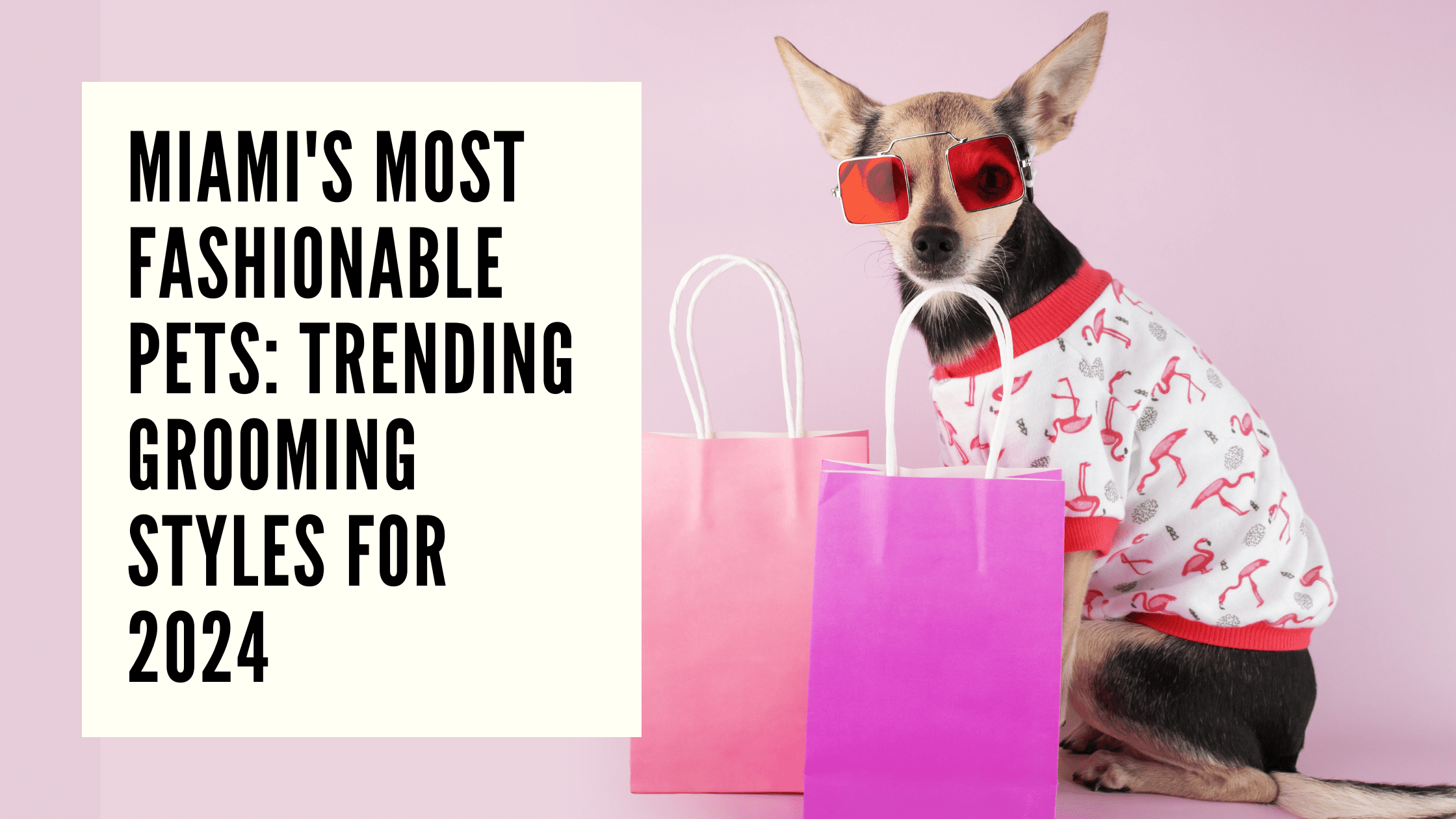 Miami's Most Fashionable Pets Trending Grooming Styles for 2024