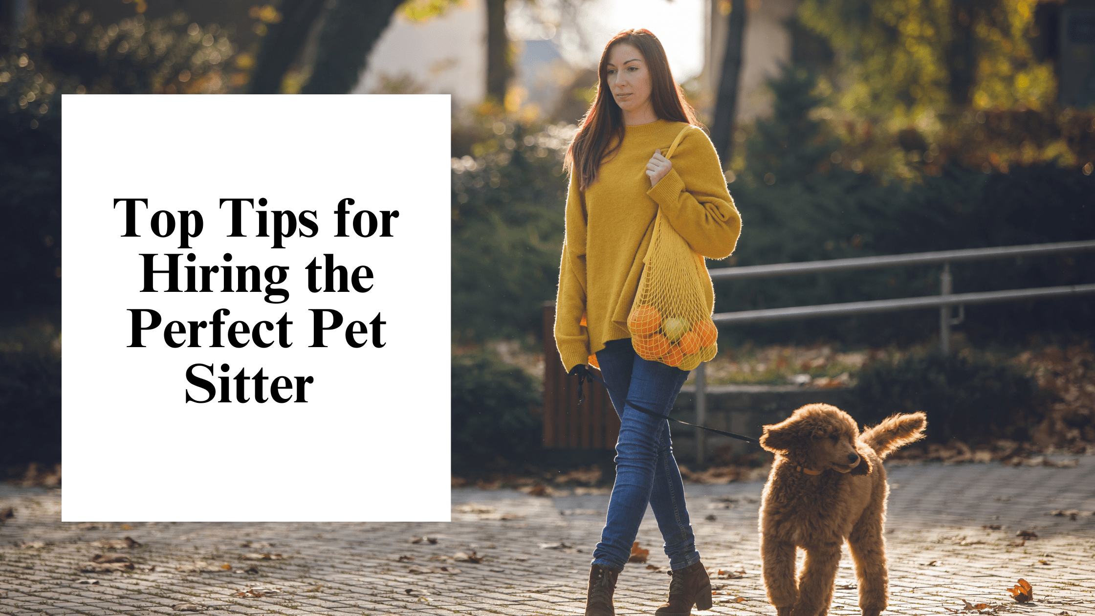 Top Tips for Hiring the Perfect Pet Sitter