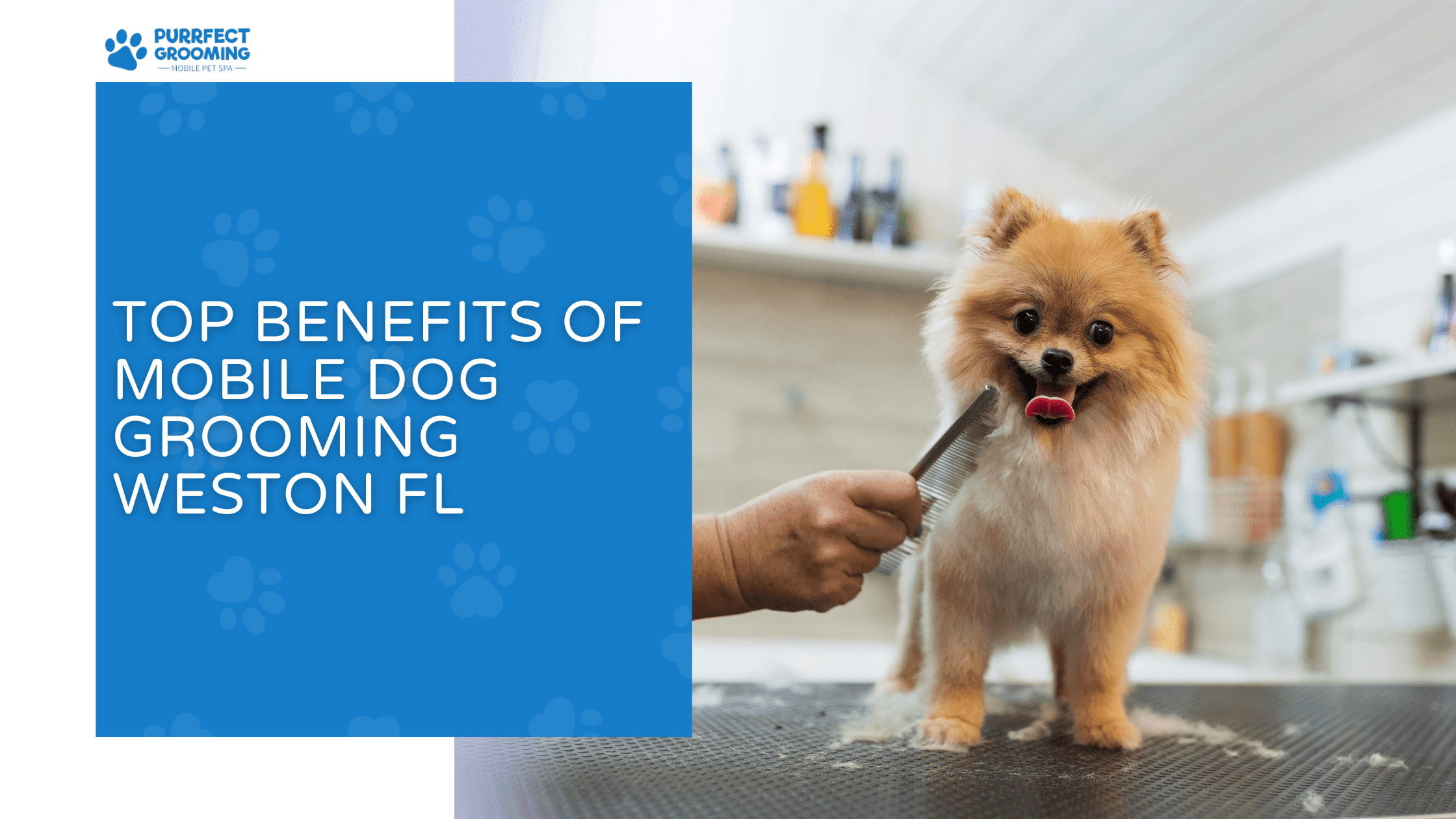 mobile dog grooming weston fl
