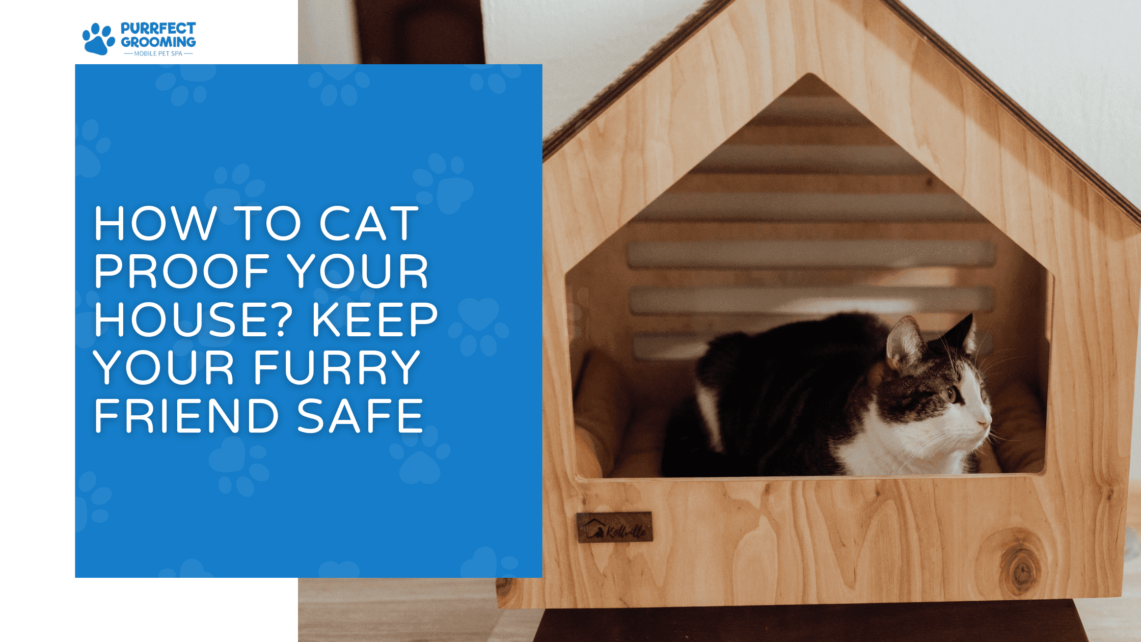 How to Cat Proof Your House