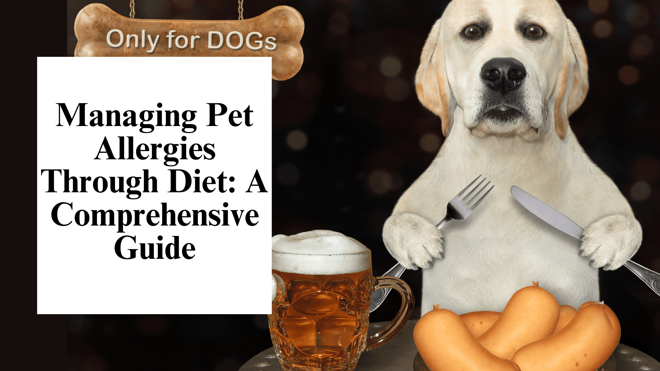 Managing Pet Allergies Through Diet A Comprehensive Guide