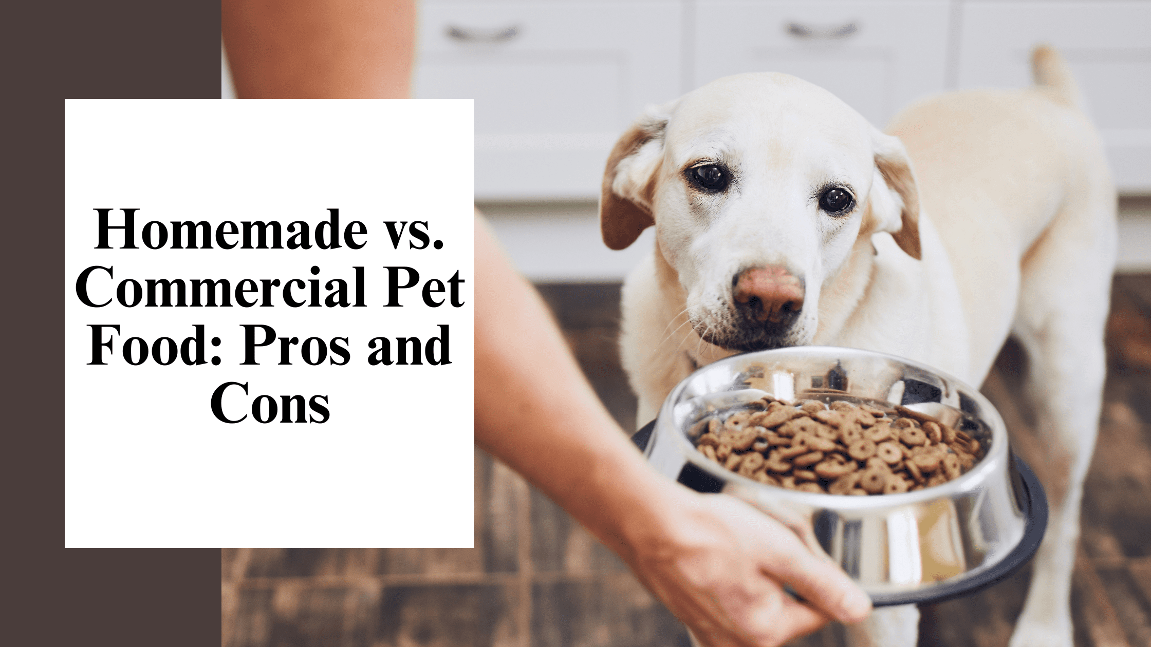 Homemade vs. Commercial Pet Food Pros and Cons