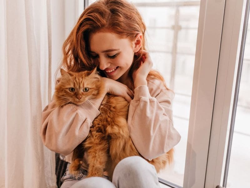 Purrfect Grooming best pet grooming service in Plantation