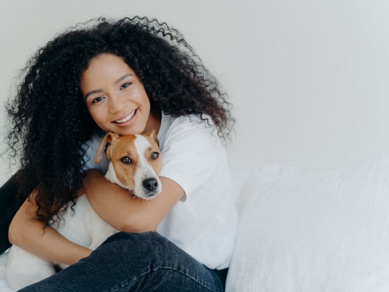 Purrfect Grooming best pet grooming service in North Miami