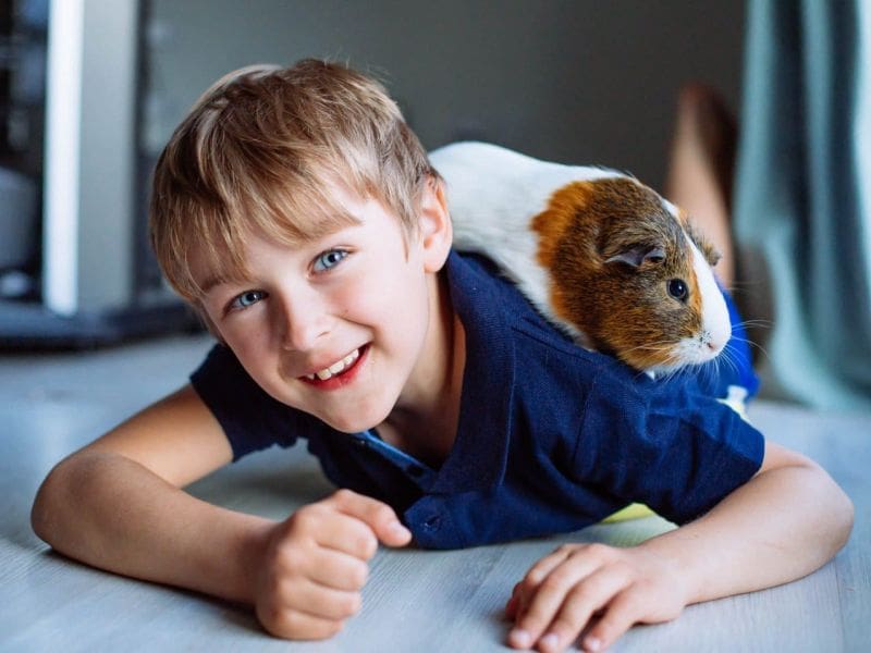 Purrfect Grooming best pet grooming service in Sunny Isles