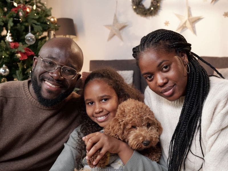 Purrfect Grooming best pet grooming service in Davie