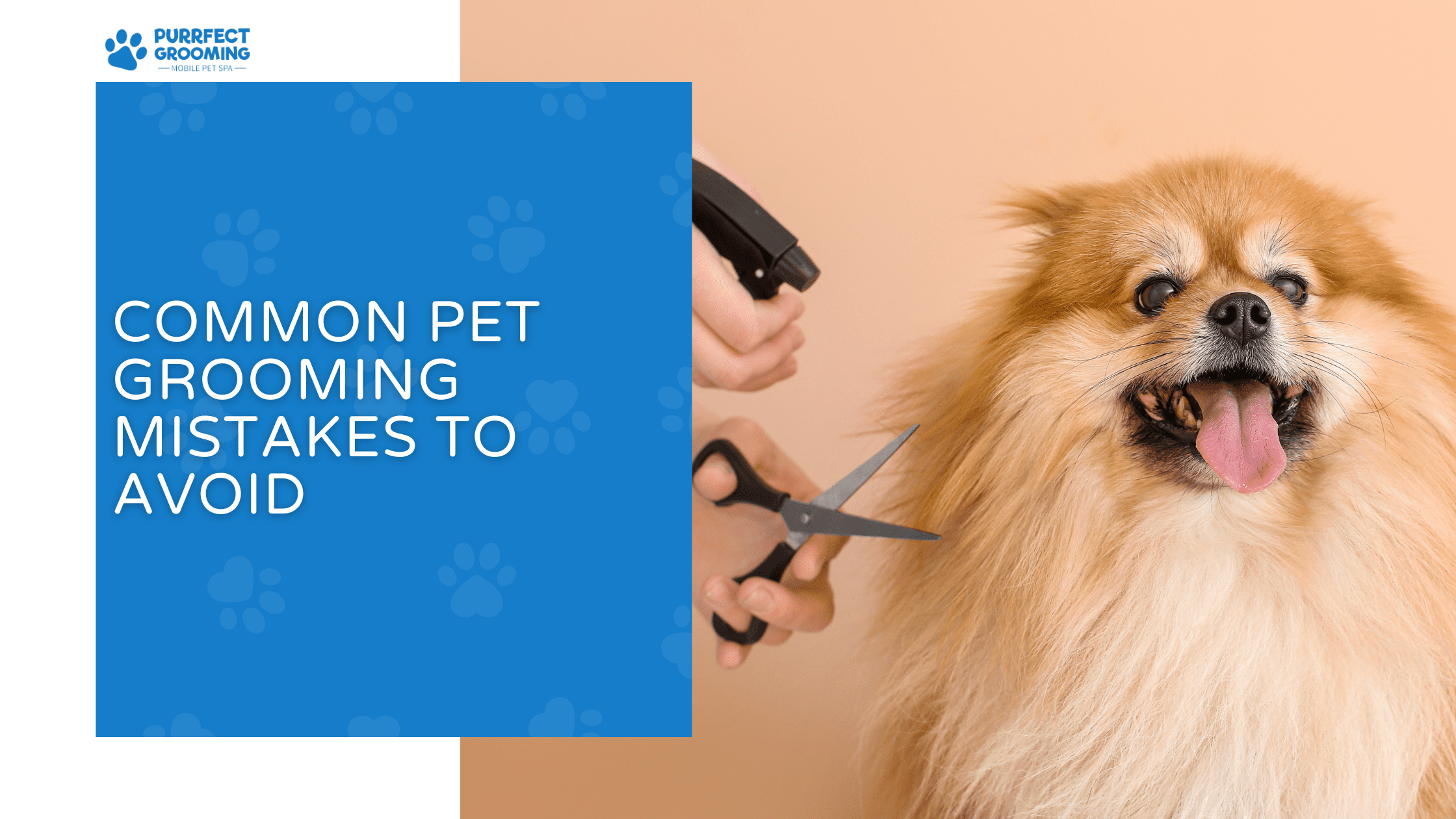 pet grooming mistakes