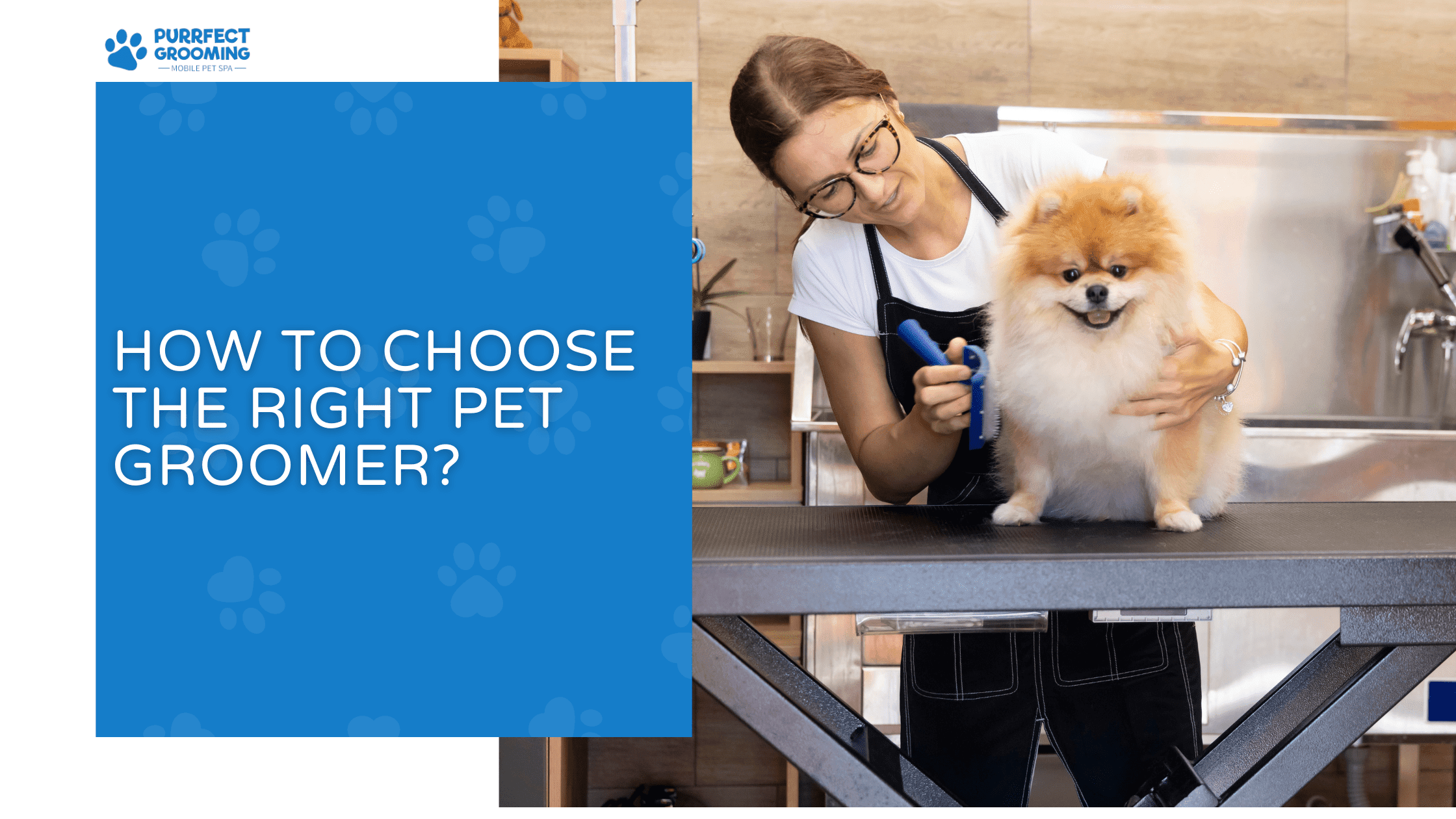 How to Choose the Right Pet Groomer