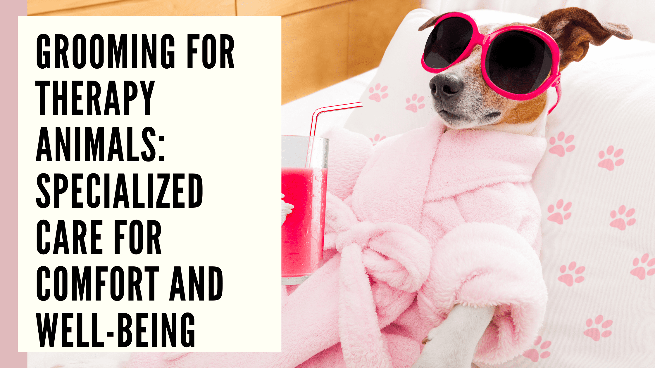 Grooming for Therapy Animals Specialized Care for Comfort and Well-being