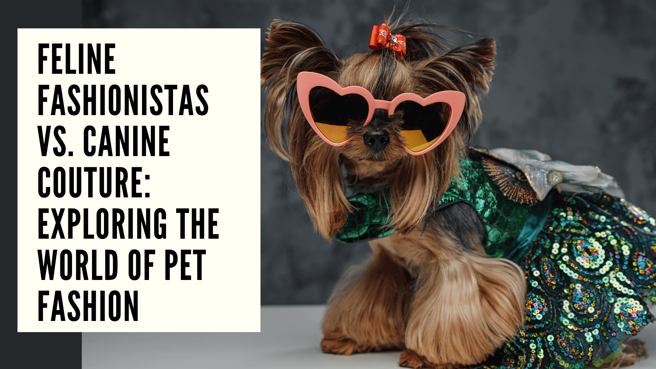 Feline Fashionistas vs. Canine Couture Exploring the World of Pet Fashion