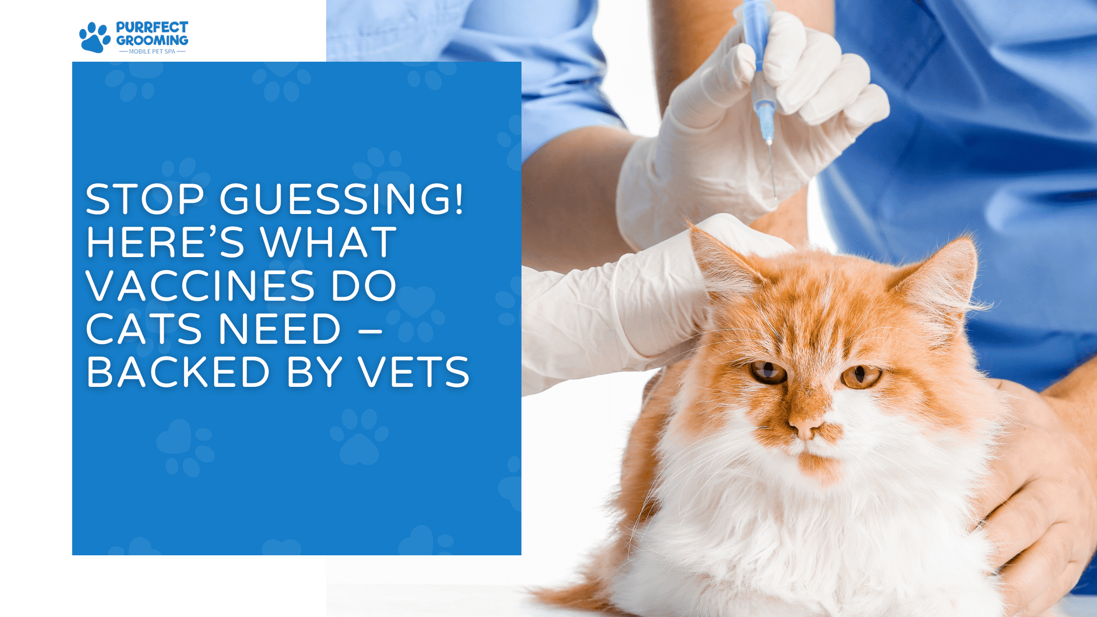 what vaccines do cats need