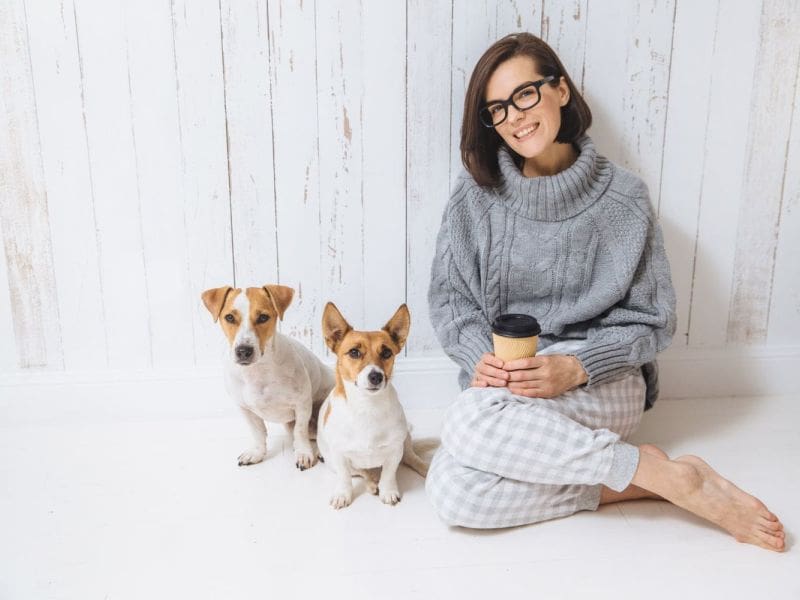 Purrfect Grooming best pet grooming service in Parkland