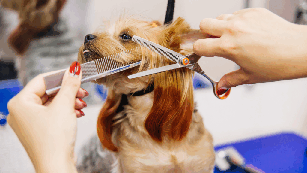 role of pet grooming