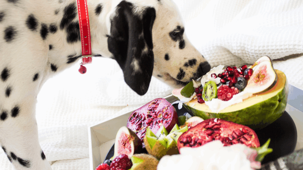 what fruits can dogs eat