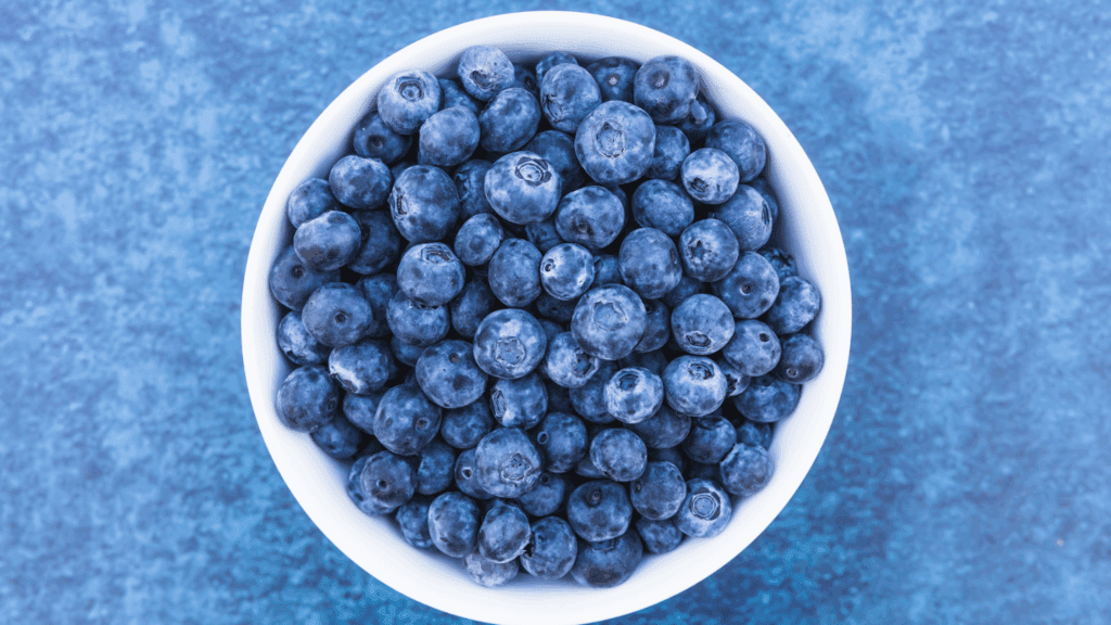 can dogs eat blueberries